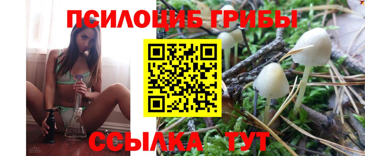 Вольск  как найти закладки  Вход с VPN  Галлюциногенные грибы Cubensis 