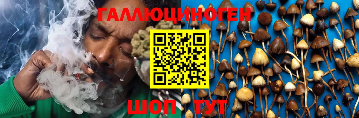 Псилоцибиновые грибы мухоморы Вольск