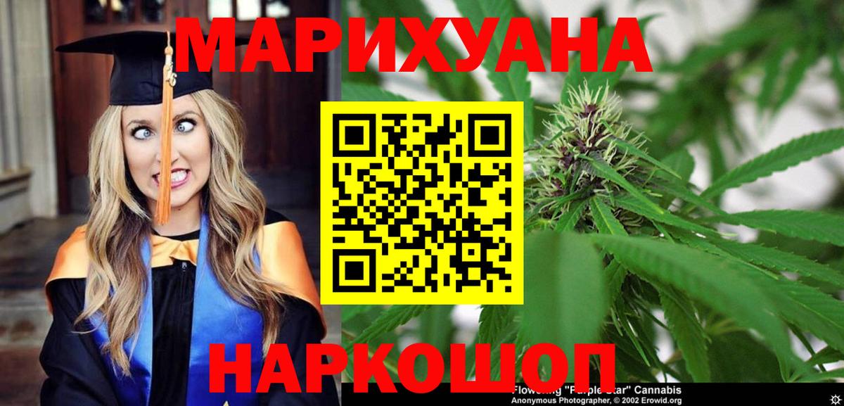 Бошки Шишки план Вольск